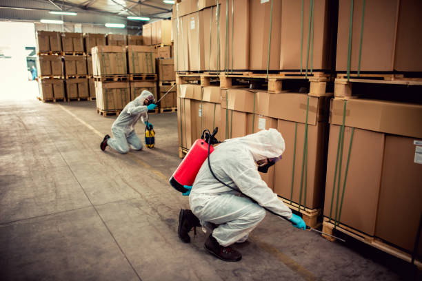 Best Best Pest Control Companies  in Taft Heights, CA