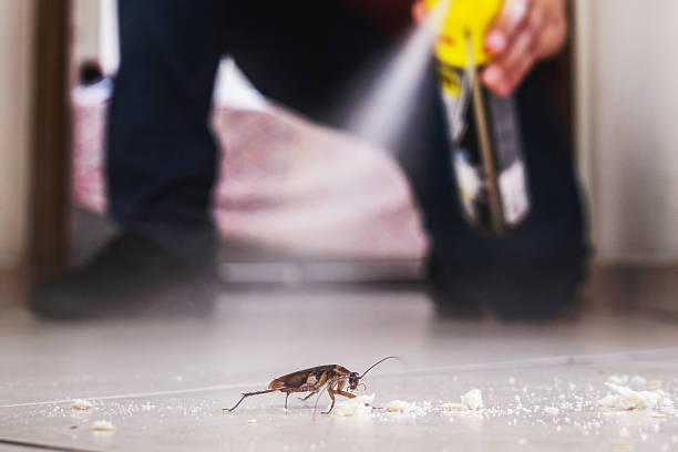 Best Pest Control for Homes  in Taft Heights, CA