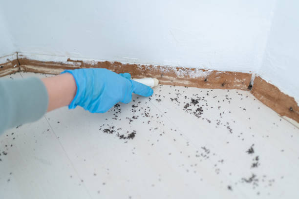 Trusted Taft Heights, CA Pest Control Experts